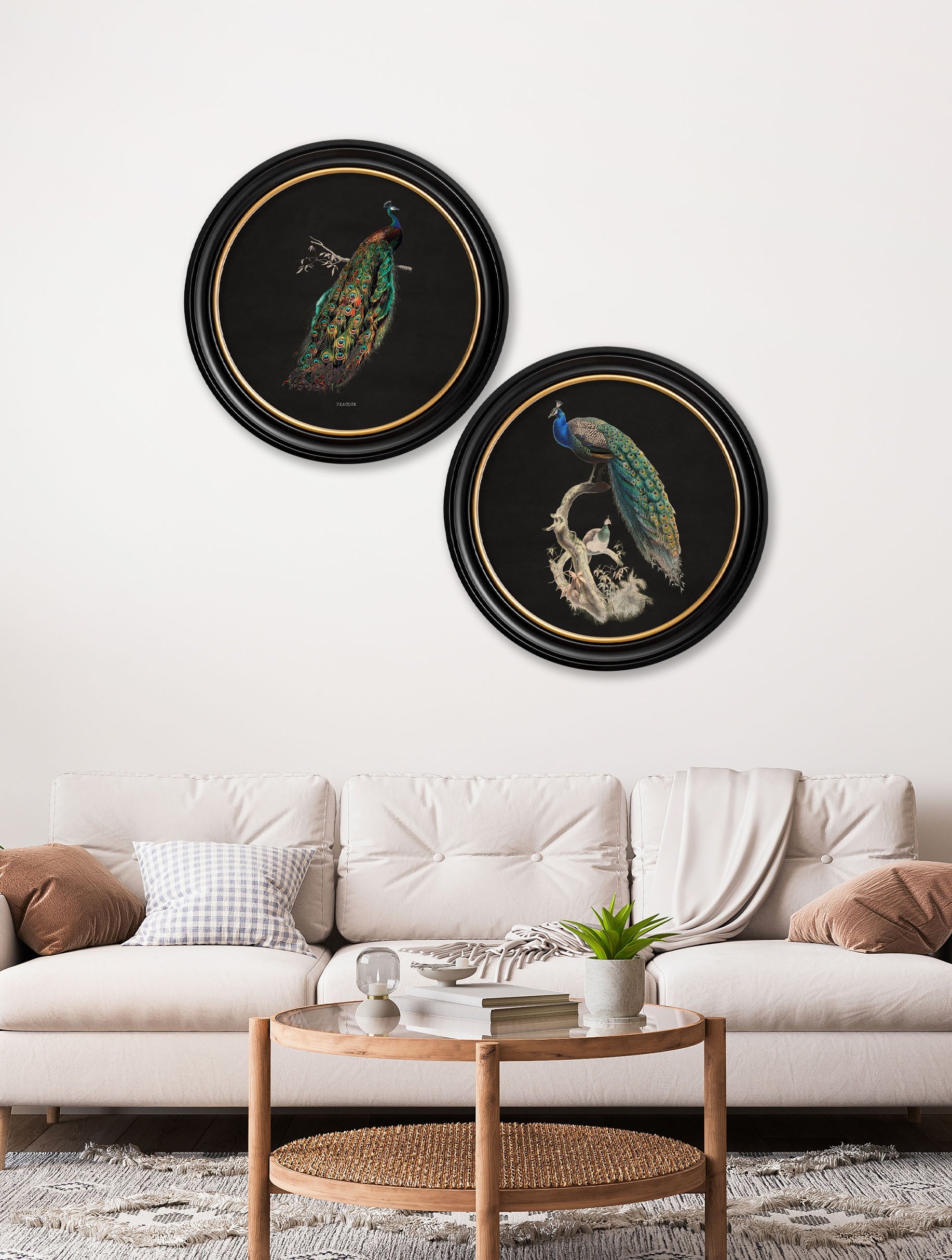 c 1847 peacock in round frame dark in size 44 x 44 cm - glass-fronted framed wall art print with solid wood frame, ideal for modern interiors