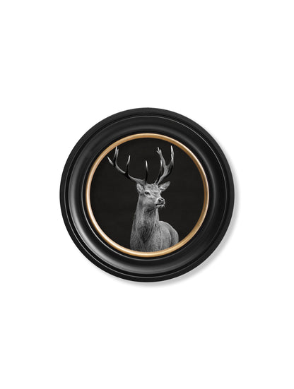 wildlife photography red deer round frame - premium glass-fronted framed art print with solid wood frame, ideal for modern interiors