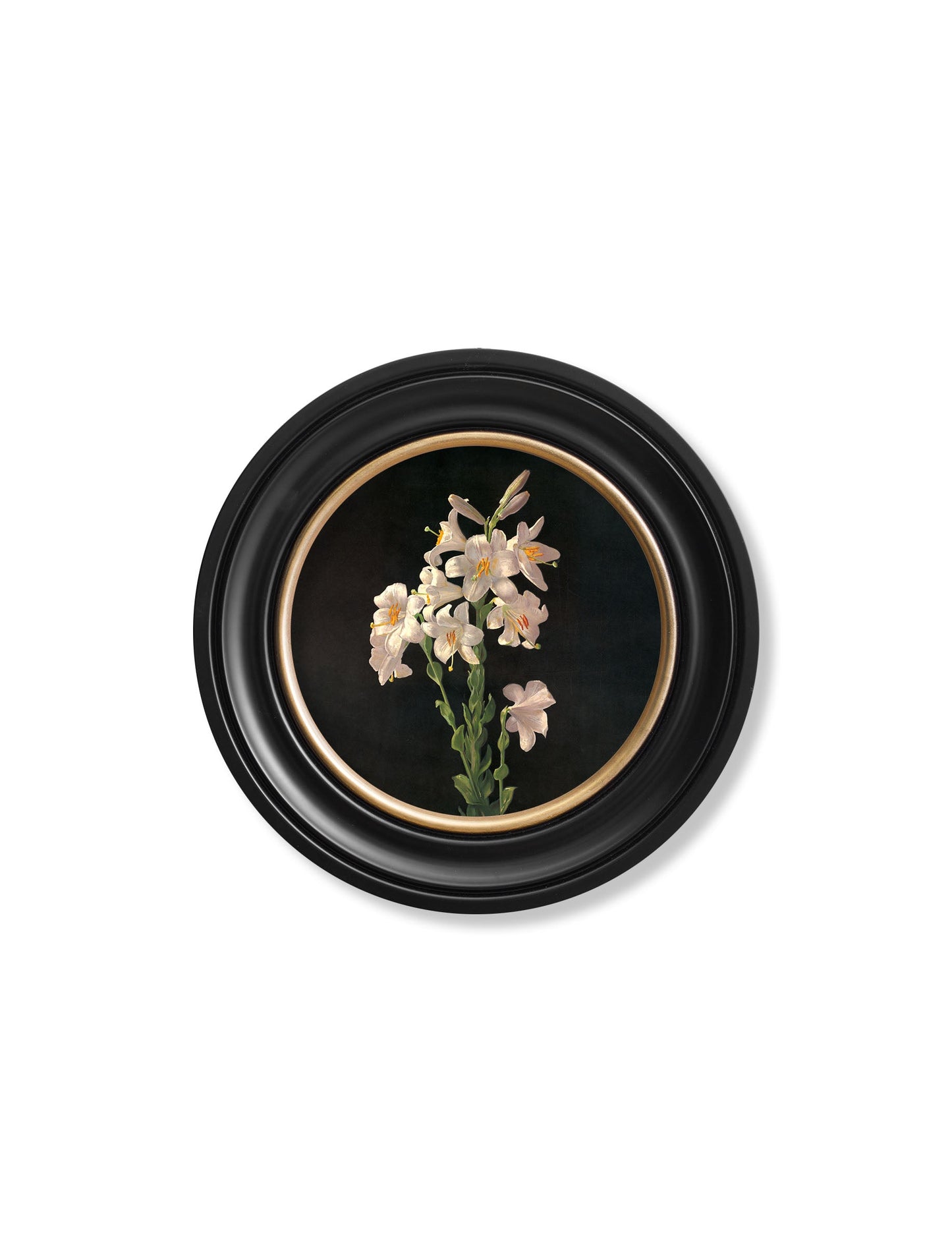 c 1874 george cochran lambdin lillys round frame in size 70 x 70cm - glass-fronted framed wall art print with solid wood frame, perfect for luxury home decor