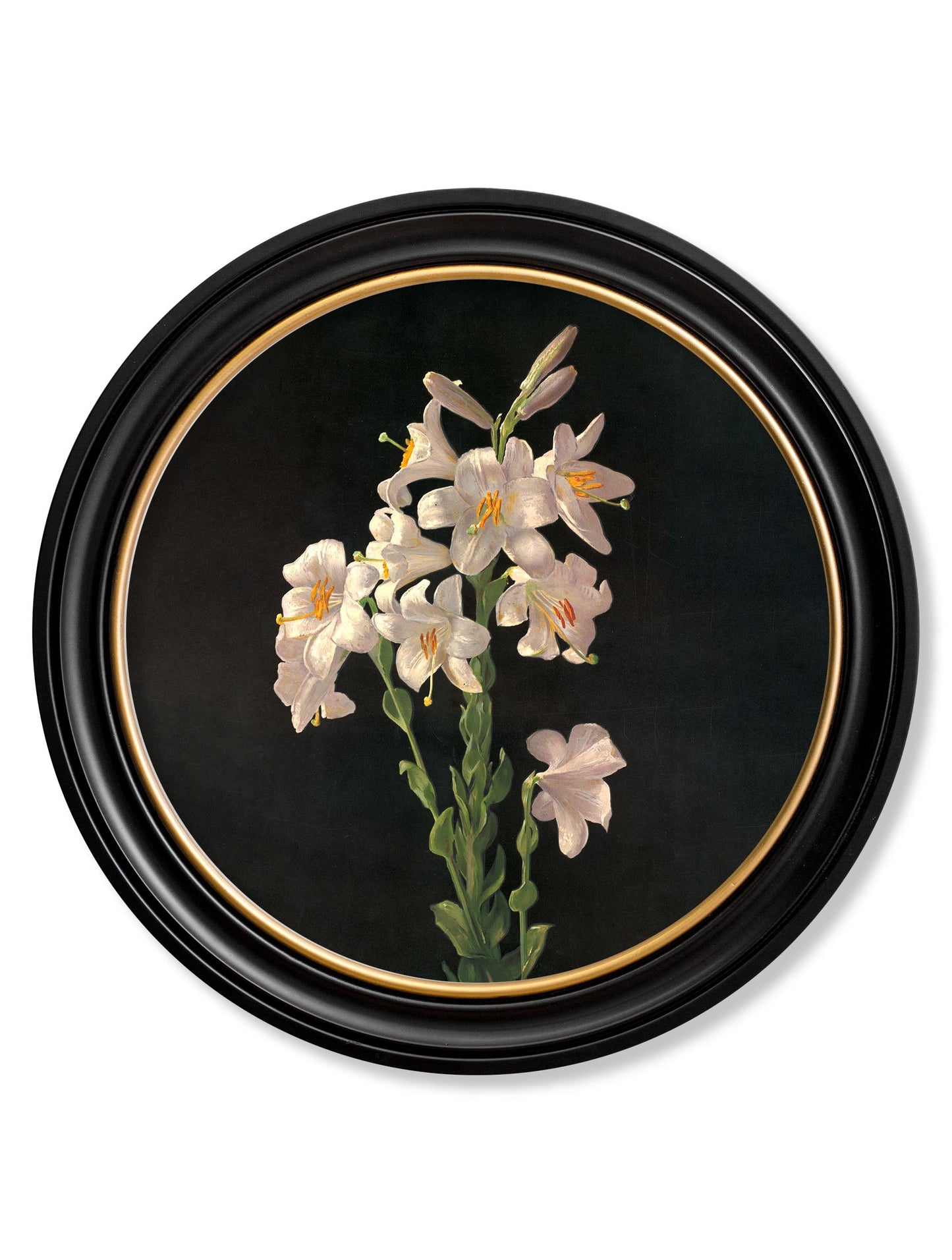 c 1874 george cochran lambdin lillys round frame in size 70 x 70cm - glass-fronted framed wall art print with solid wood frame, ideal for contemporary home styling