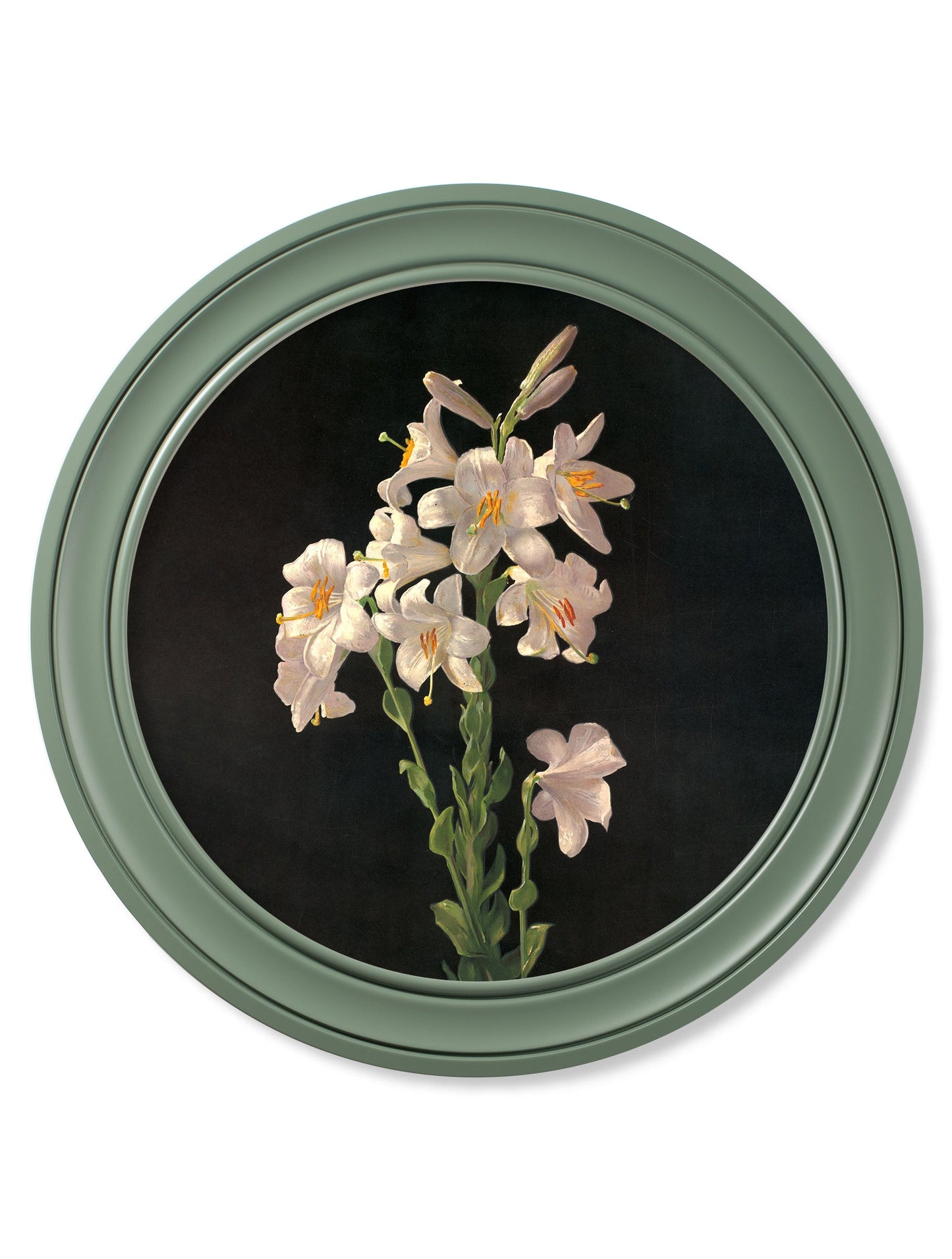 c 1874 george cochran lambdin lillys round frame green in size 70 x 70cm - glass-fronted framed wall art print with solid wood frame, designed for high-end interior design