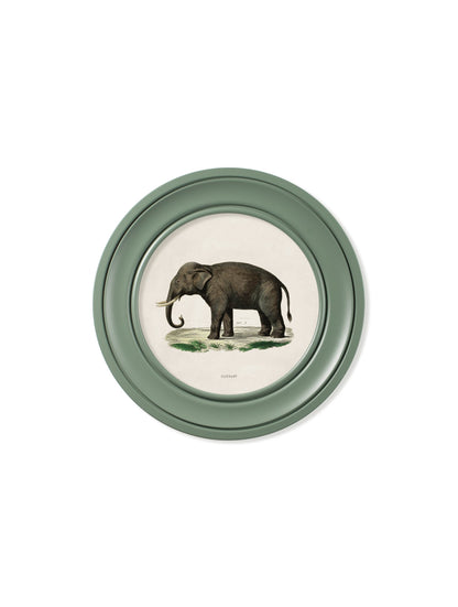 c 1846 elephants in round frame  in size 70 x 70cm - glass-fronted framed wall art print with solid wood frame, designed for high-end interior design