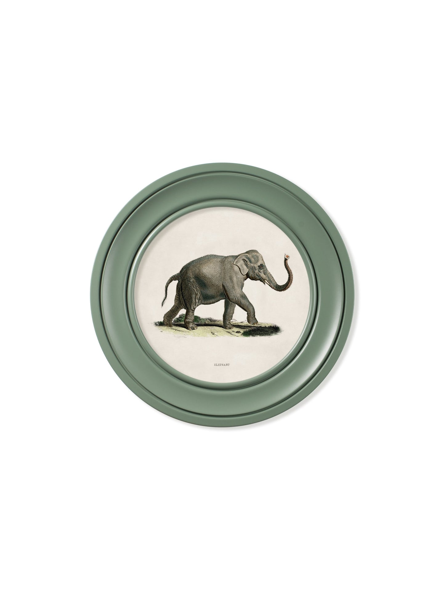 c 1846 elephants in round frame  in size 44 x 44cm - glass-fronted framed wall art print with solid wood frame, designed for high-end interior design