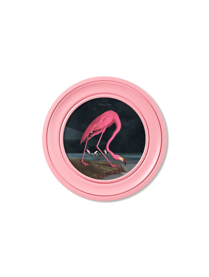 c 1838 audubons flamingo dark round frame pink in size 70 x 70cm - glass-fronted framed wall art print with solid wood frame, designed for high-end interior design