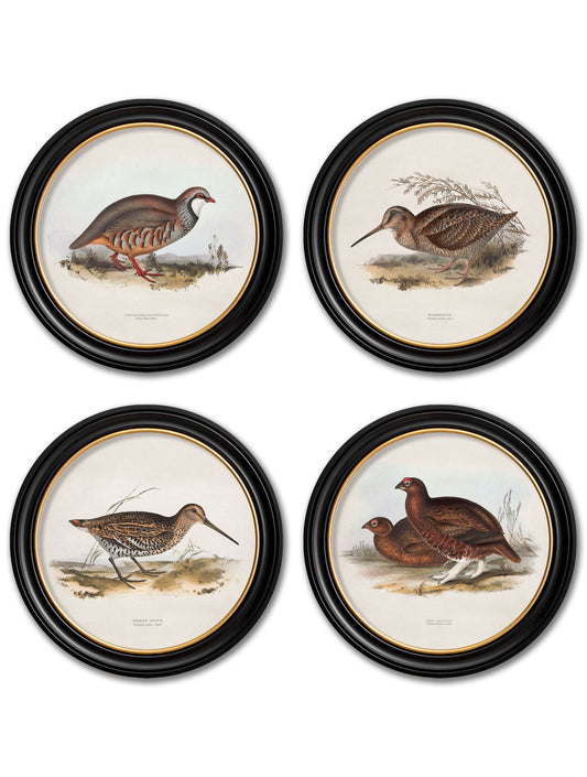 c.1837's British Game Birds - Round in size 44 x 44cm - glass-fronted framed wall art print with solid wood frame, ideal for contemporary home styling