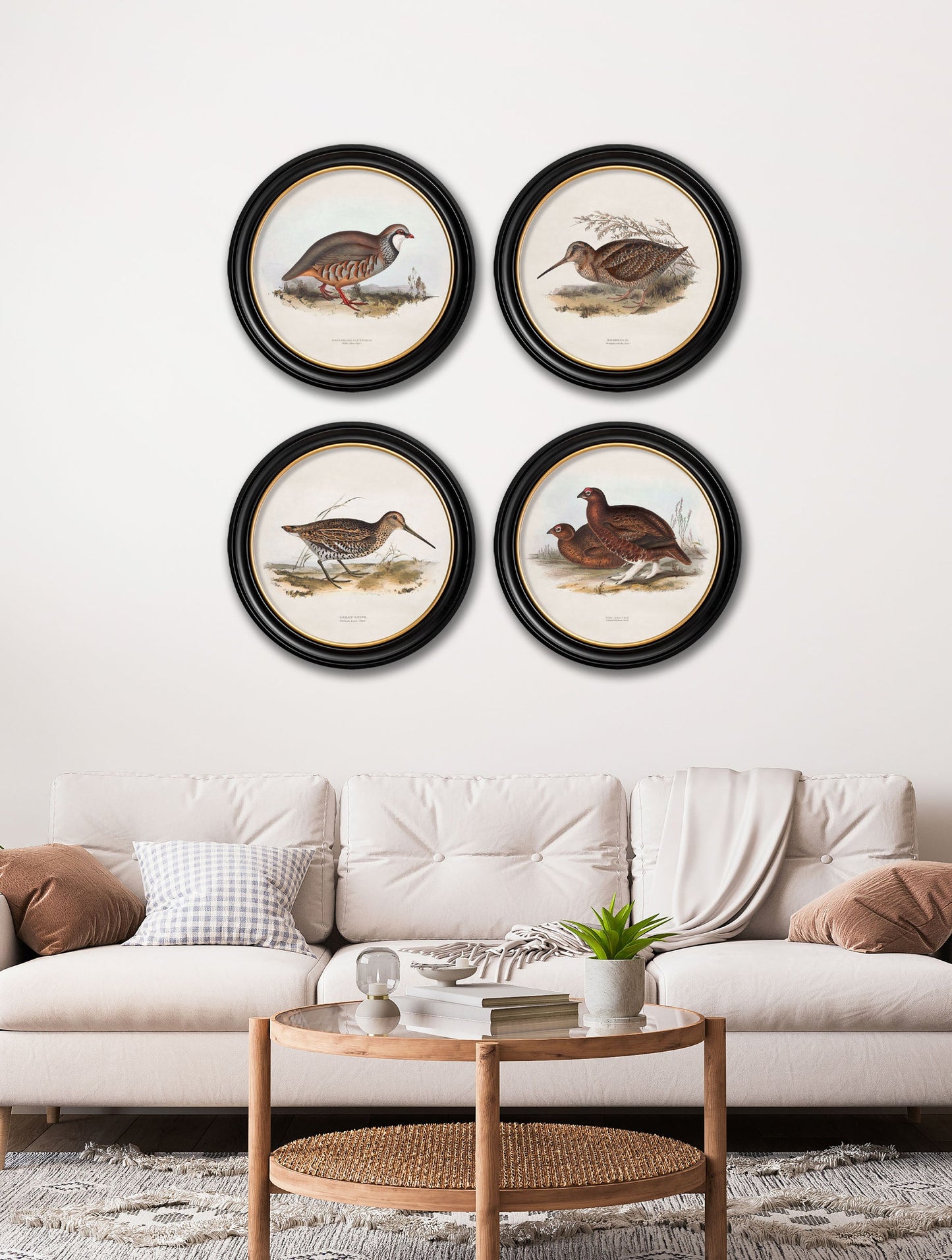 c 1837s british game birds round in size 44 x 44cm - glass-fronted framed wall art print with solid wood frame, perfect for luxury home decor