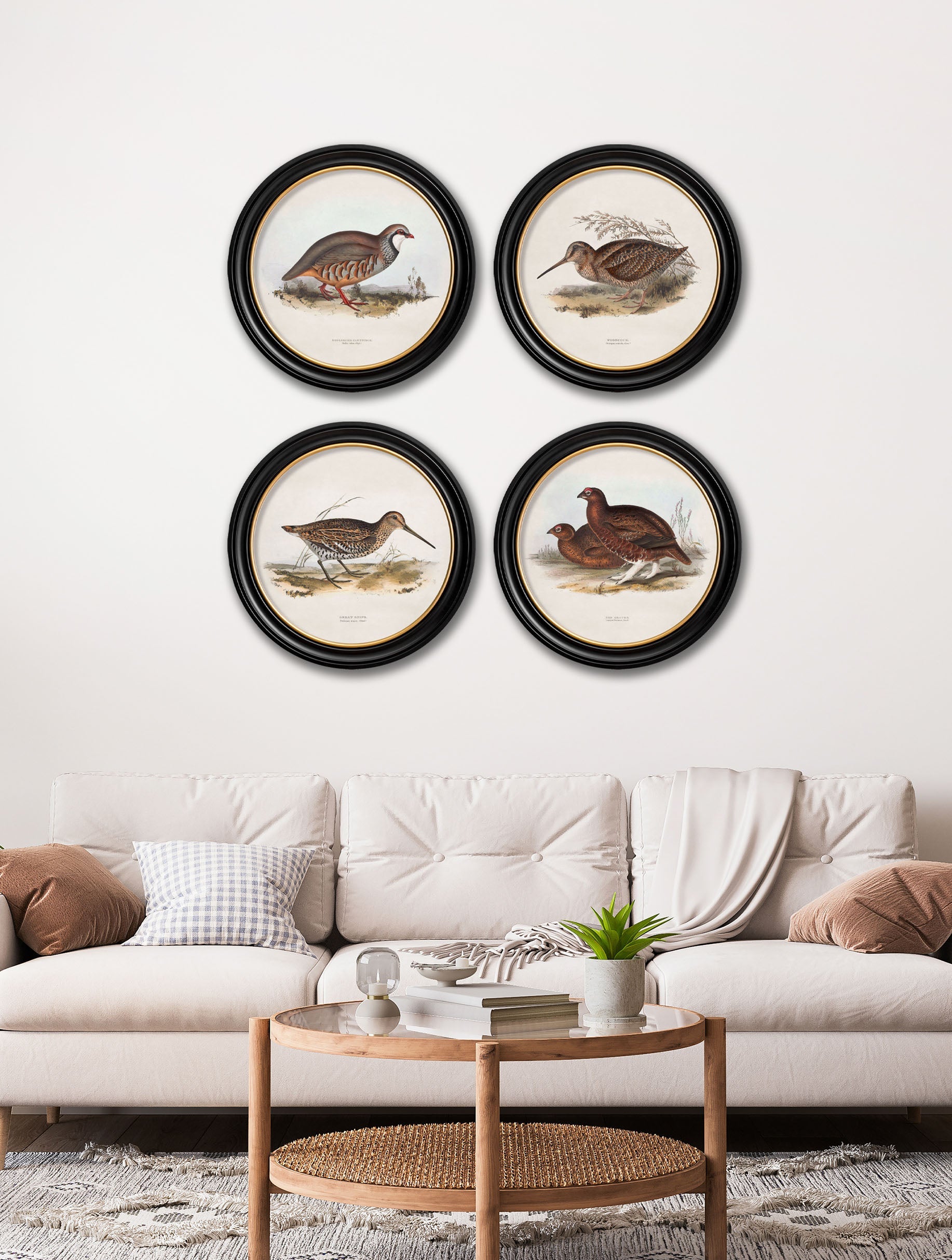 c 1837s british game birds round in size 44 x 44cm - glass-fronted framed wall art print with solid wood frame, perfect for luxury home decor