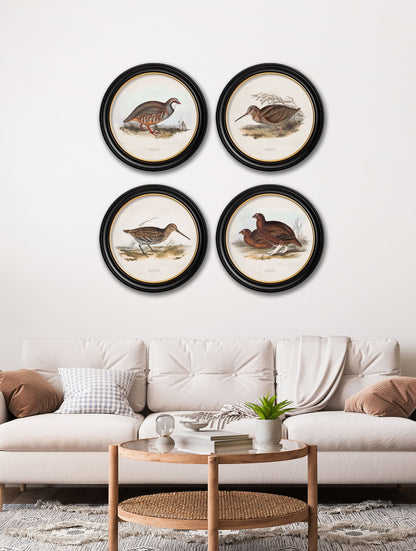c 1837s british game birds round in size 44 x 44cm - glass-fronted framed wall art print with solid wood frame, perfect for luxury home decor