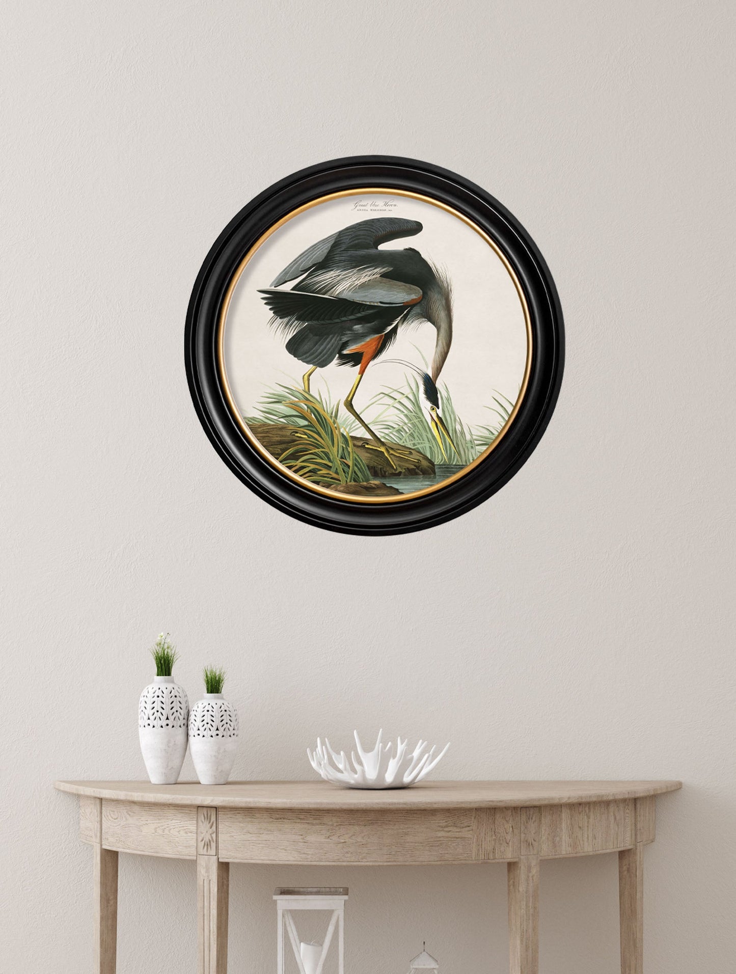 c 1838 audubons great blue heron in size 70 x 70cm - glass-fronted framed wall art print with solid wood frame, perfect for statement wall decor