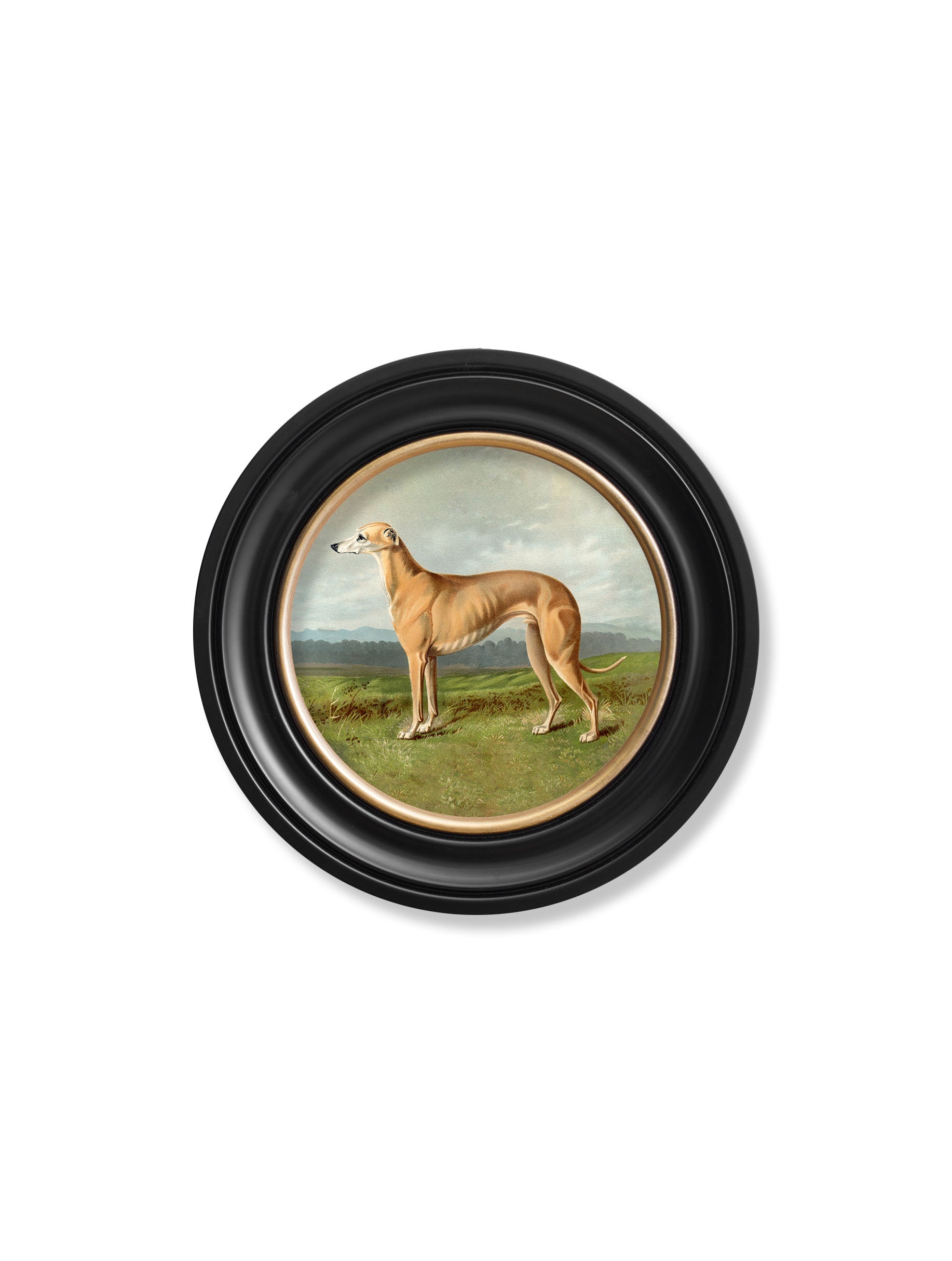 c 1881 working dogs round frame 1 in size 44 x 44cm - glass-fronted framed wall art print with solid wood frame, perfect for statement wall decor