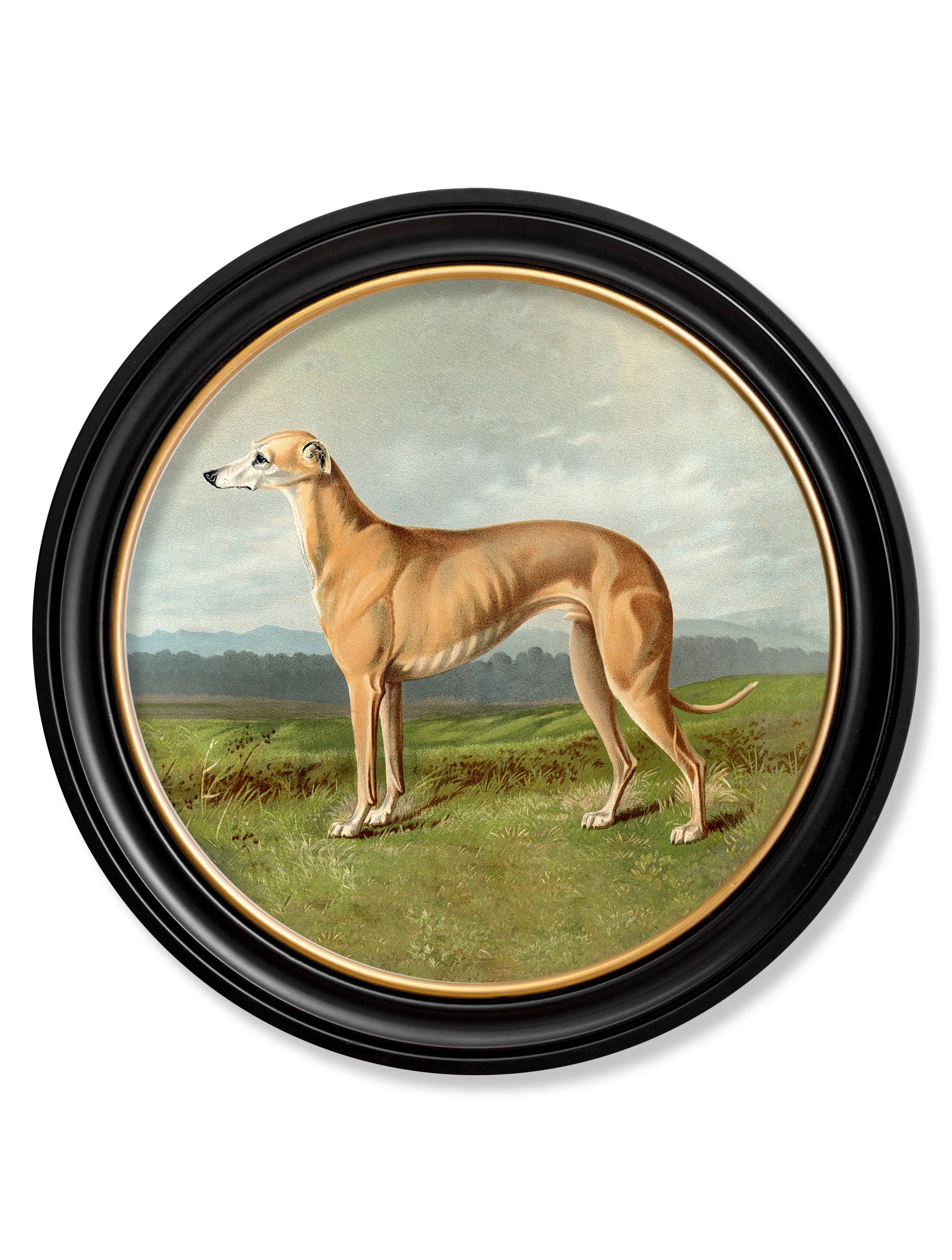 c 1881 working dogs round frame 1 in size 70 x 70cm - glass-fronted framed wall art print with solid wood frame, perfect for luxury home decor