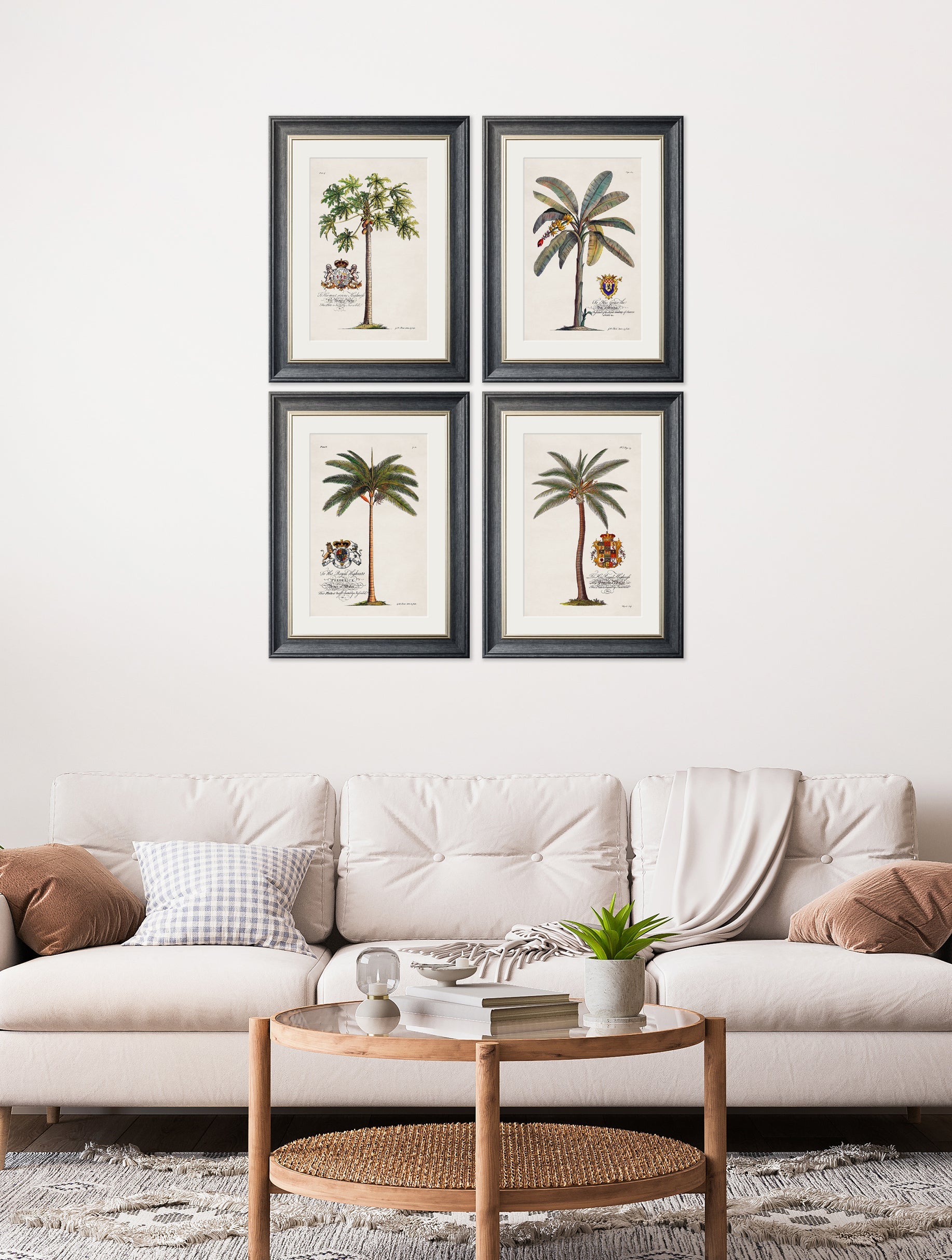 studies of palms in size 38 x 50cm - glass-fronted framed wall art print with solid wood frame, perfect for luxury home decor