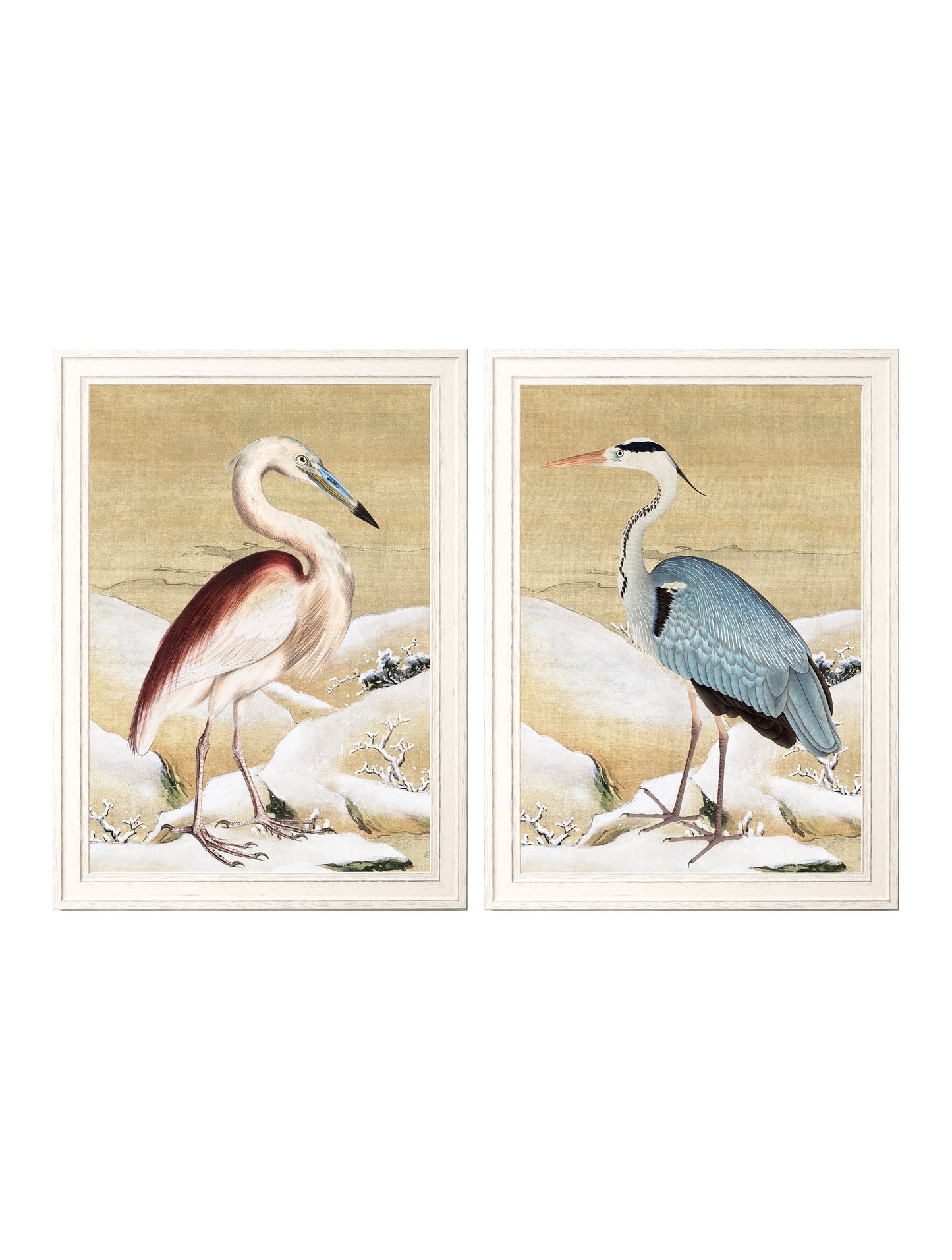 Heron Set of 2 Prints - Ram Das in size 38 x 50cm - glass-fronted framed wall art print with solid wood frame, perfect for luxury home decor