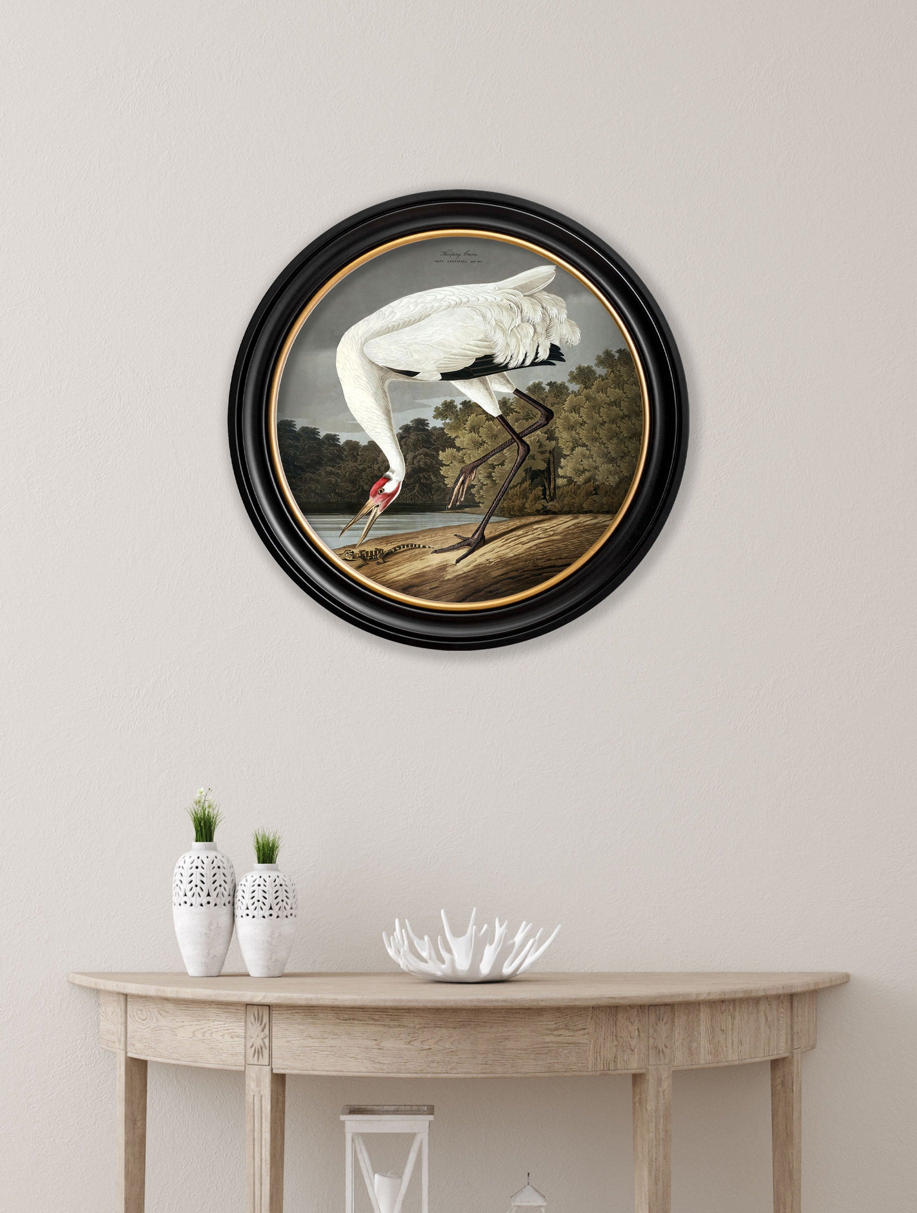 c 1838 hooping crane in round frame in size 70 x 70cm - glass-fronted framed wall art print with solid wood frame, perfect for statement wall decor