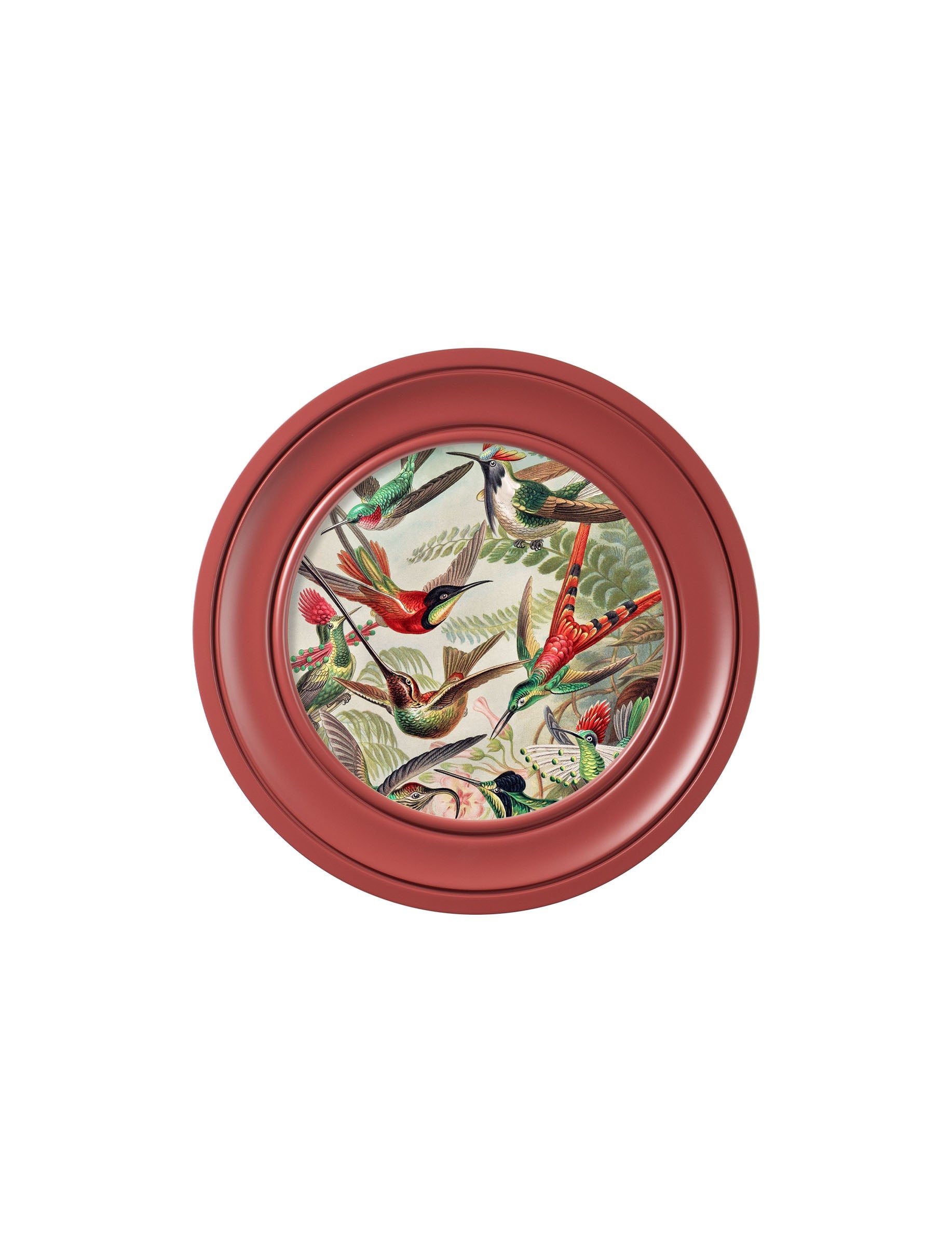c 1904 haeckel hummingbirds light round frame in size 70 x 70cm - glass-fronted framed wall art print with solid wood frame, luxury wall art for sophisticated spaces