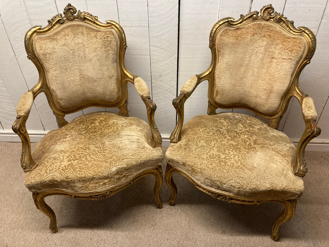 Pair French Louis XV Style Gold Frame Armchairs