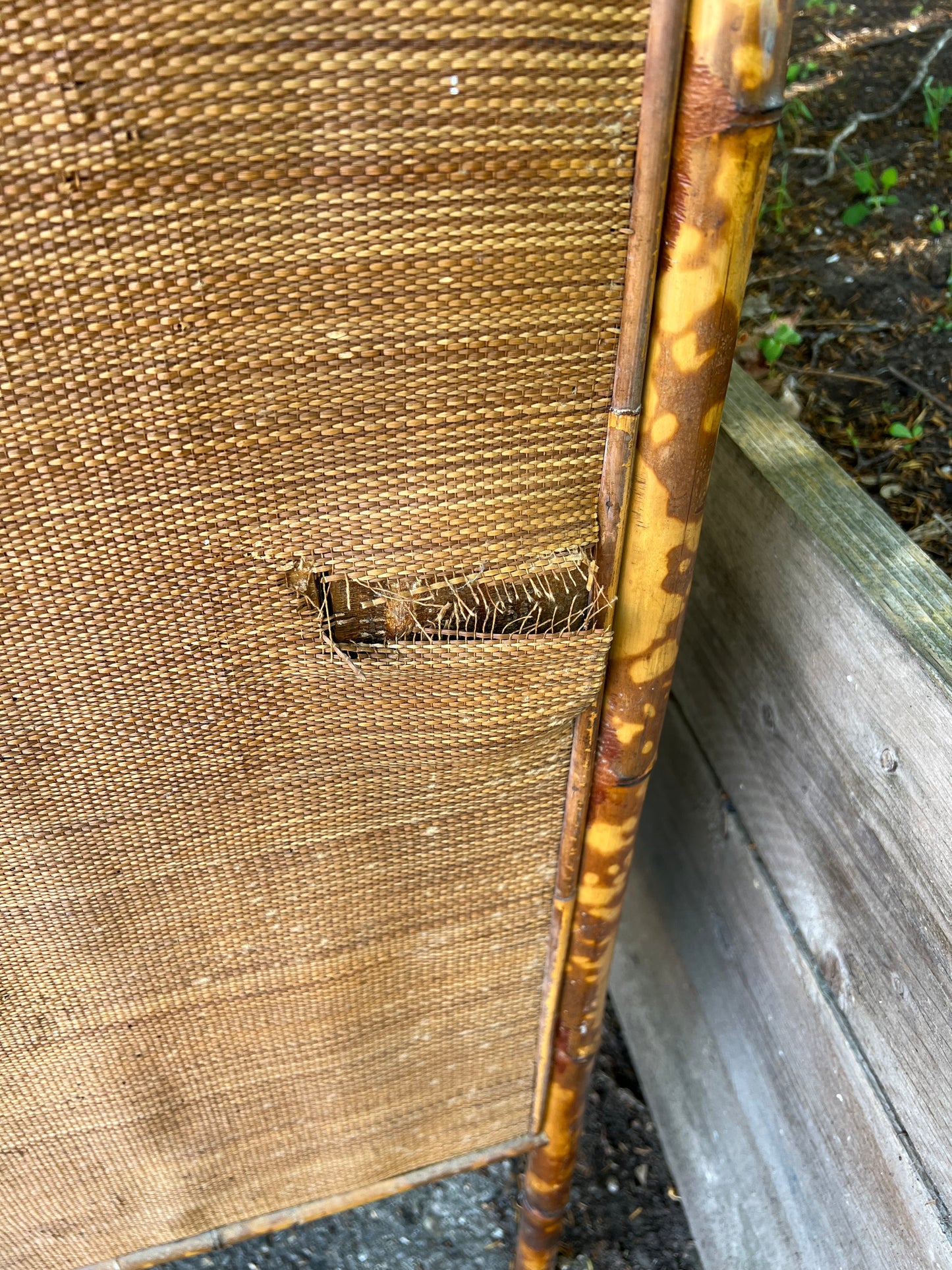Victorian Tiger Bamboo And Wicker Wardrobe/Cupboard
