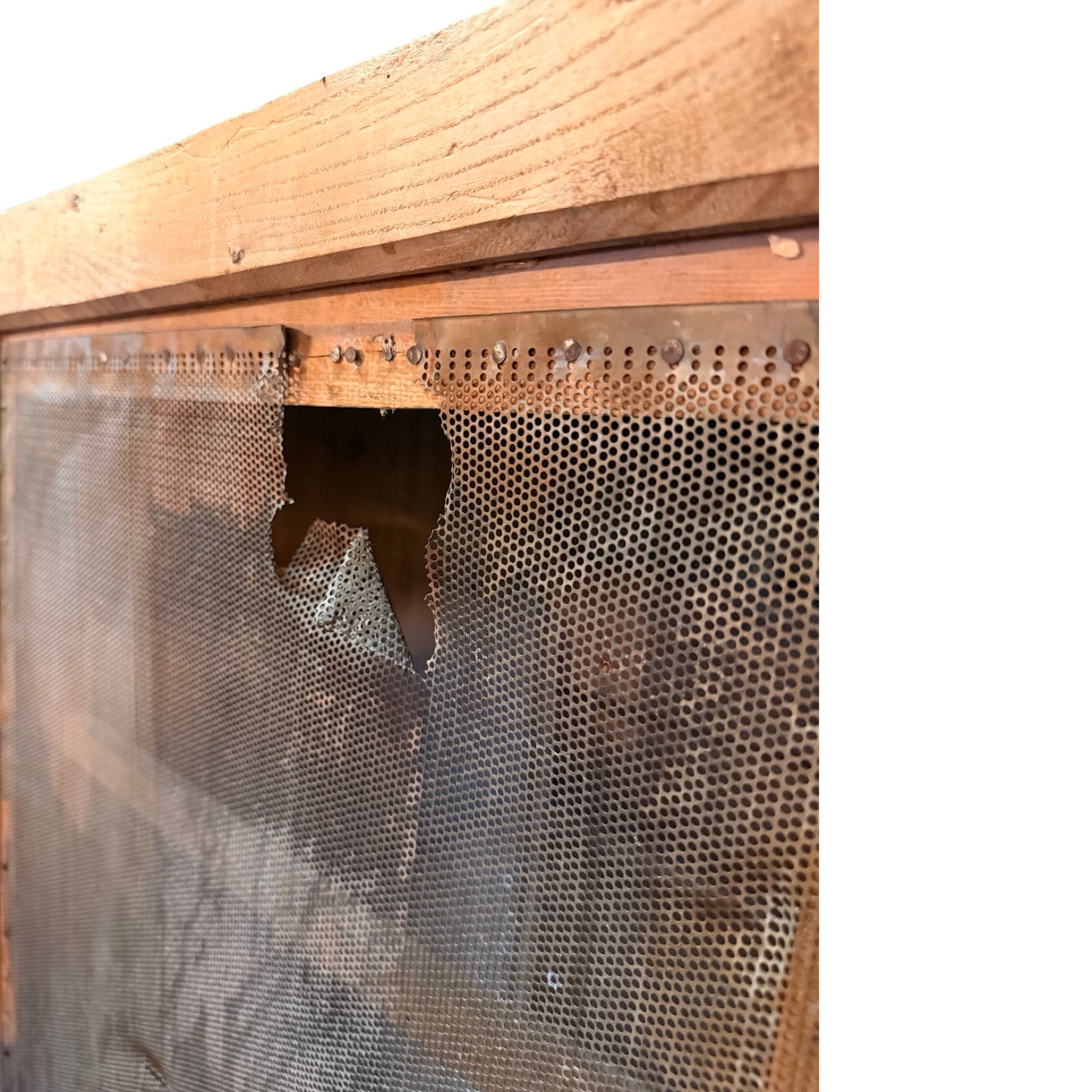 Antique Pine Meat Safe - Large Rustic Mesh Kitchen Larder Cupboard Pantry