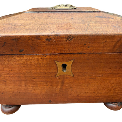 Antique Georgian Mahogany Tea Caddy - Sarcophagus Jewelry Box Fruit Mount 19cm