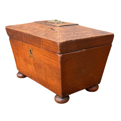 Antique Georgian Mahogany Tea Caddy - Sarcophagus Jewelry Box Fruit Mount 19cm
