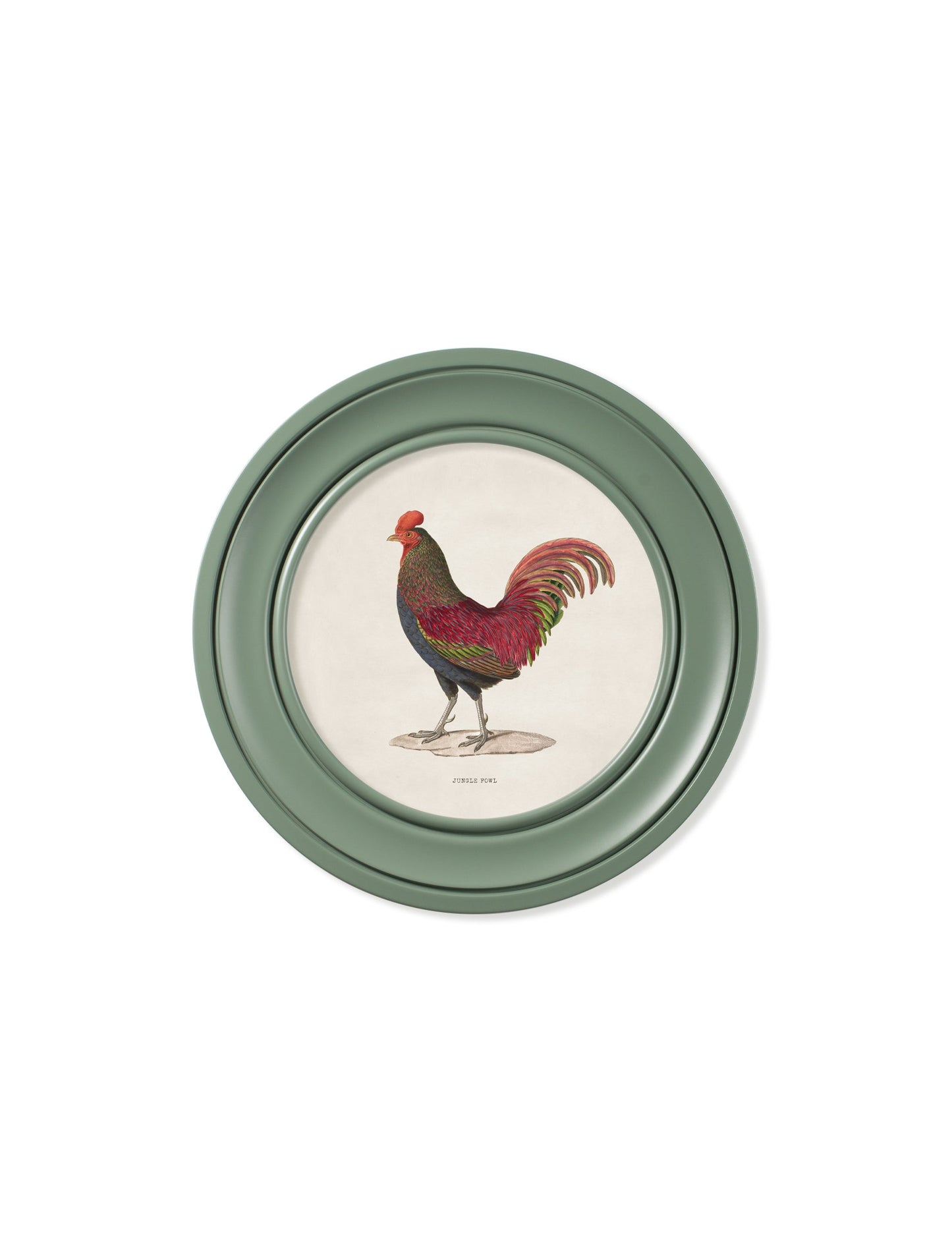 c 1838 junglefowl in round frames green in size 70 x 70cm - glass-fronted framed wall art print with solid wood frame, perfect for luxury home decor