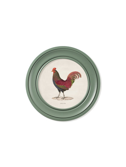 c 1838 junglefowl in round frames green in size 70 x 70cm - glass-fronted framed wall art print with solid wood frame, perfect for luxury home decor