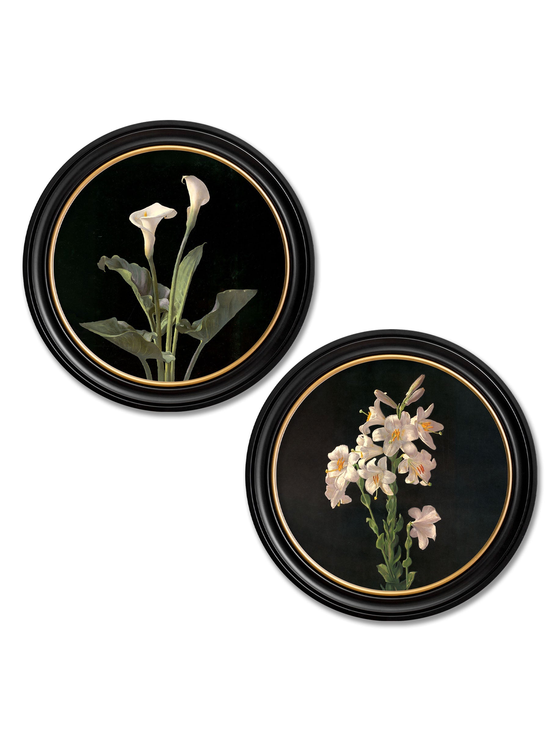 c.1874 George Cochran Lambdin Lillys - Round Frame in size 44 x 44cm - glass-fronted framed wall art print with solid wood frame, designed for high-end interior design