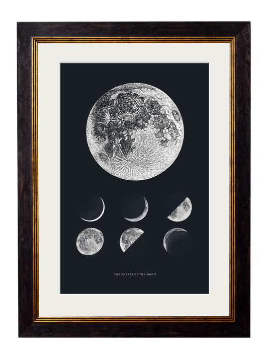 c.1800 Phases of the Moon in size 38 x 50cm - glass-fronted framed wall art print with solid wood frame, perfect for statement wall decor