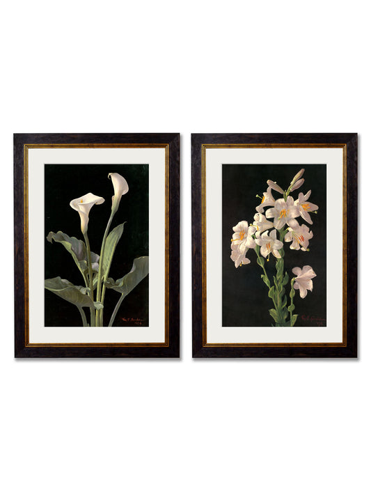 c.1874 George Cochran Lambdin Lillys in size 38 x 50cm - glass-fronted framed wall art print with solid wood frame, a beautiful addition to stylish homes