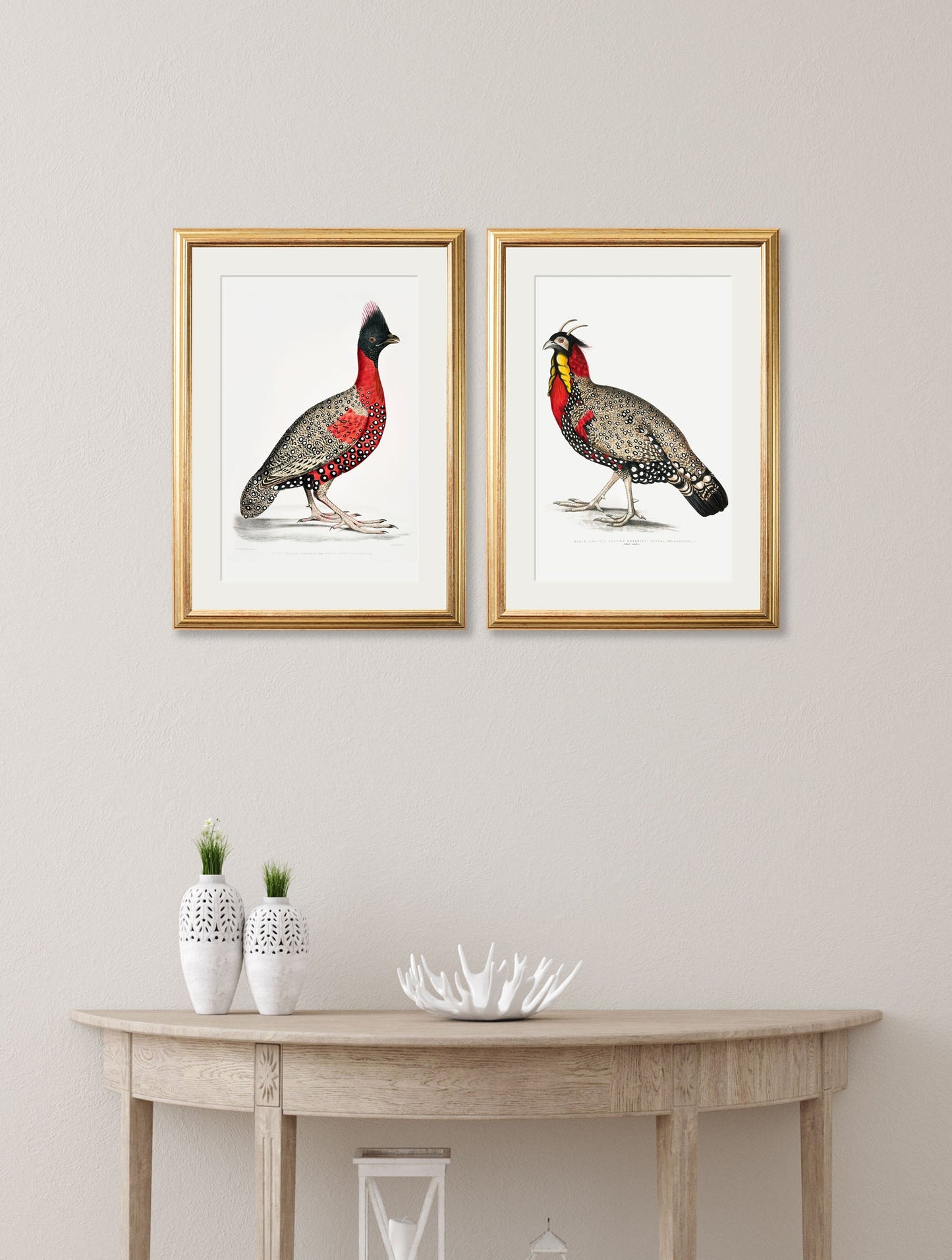 c 1800s black headed pheasants in size 38 x 50cm - glass-fronted framed wall art print with solid wood frame, adds elegance to your decor