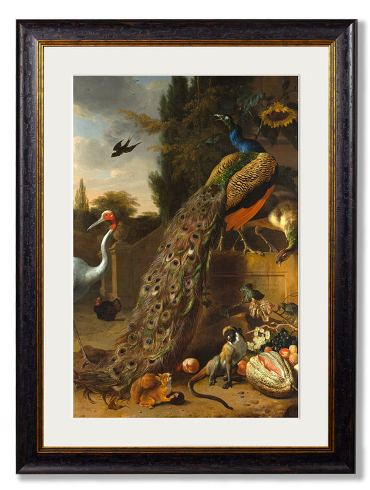 c.1683 Peacock Painting in size 38 x 50cm - glass-fronted framed wall art print with solid wood frame, designed for high-end interior design