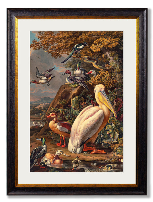 c.1683 Pelican Painting in size 38 x 50cm - glass-fronted framed wall art print with solid wood frame, luxury wall art for sophisticated spaces