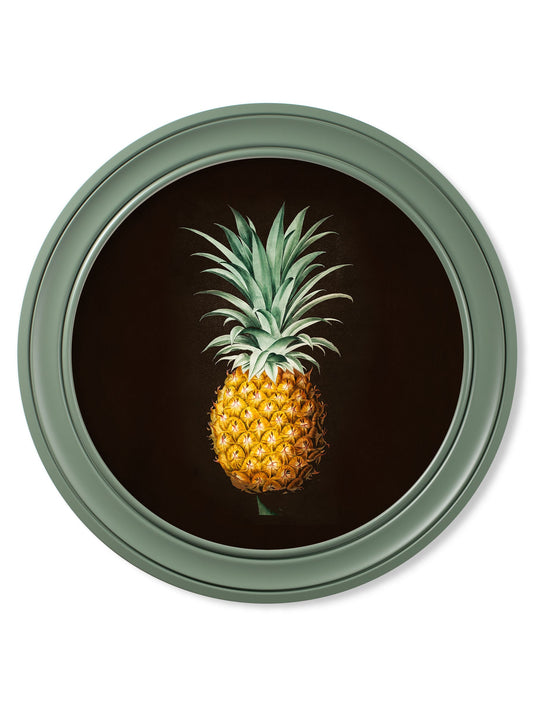 c.1812 Pineapple Study (Black) - Green Round Frame in size 44 x 44 cm - glass-fronted framed wall art print with solid wood frame, ideal for modern interiors