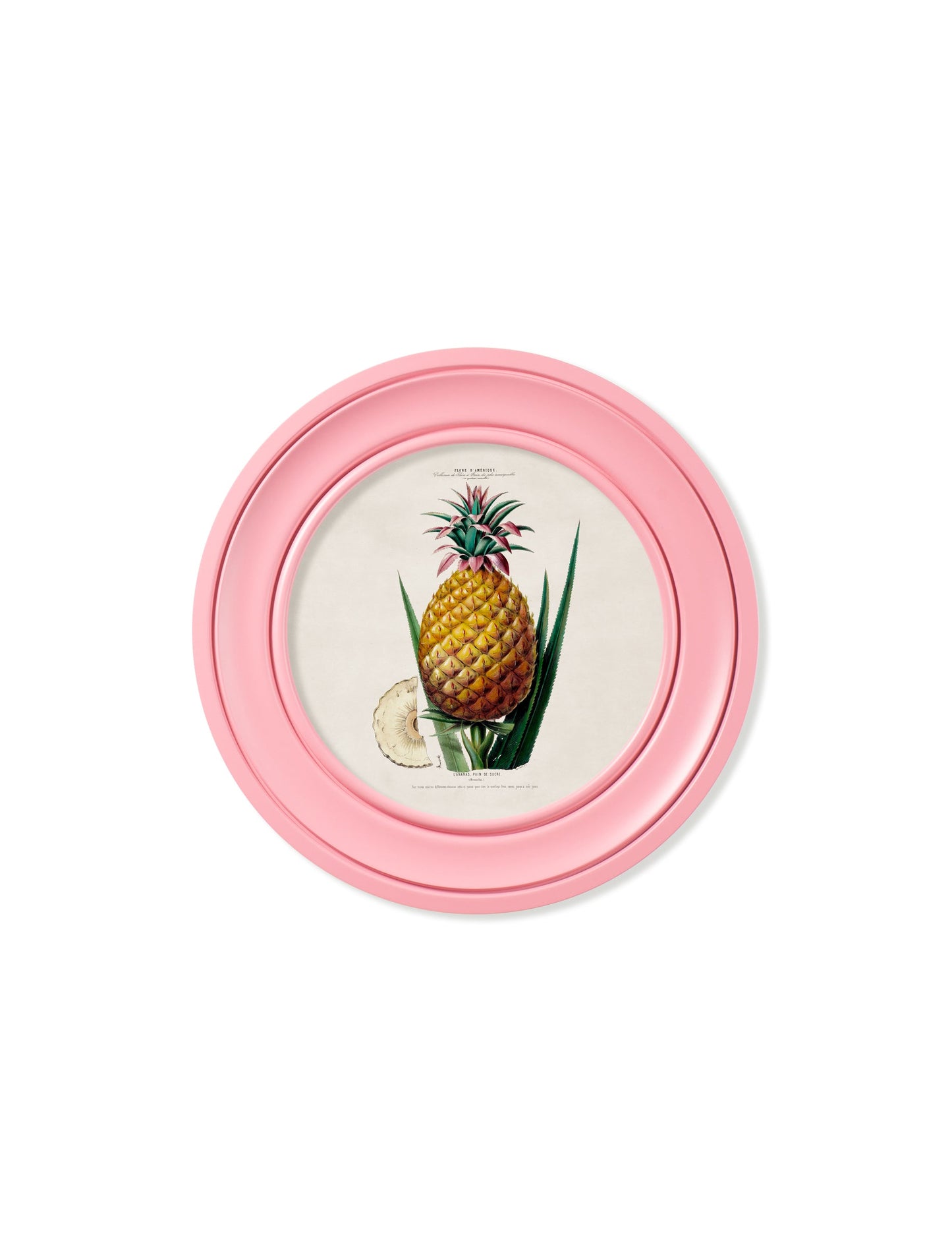 c 1843 pineapple plant round frame pink in size 70 x 70cm - glass-fronted framed wall art print with solid wood frame, designed for high-end interior design