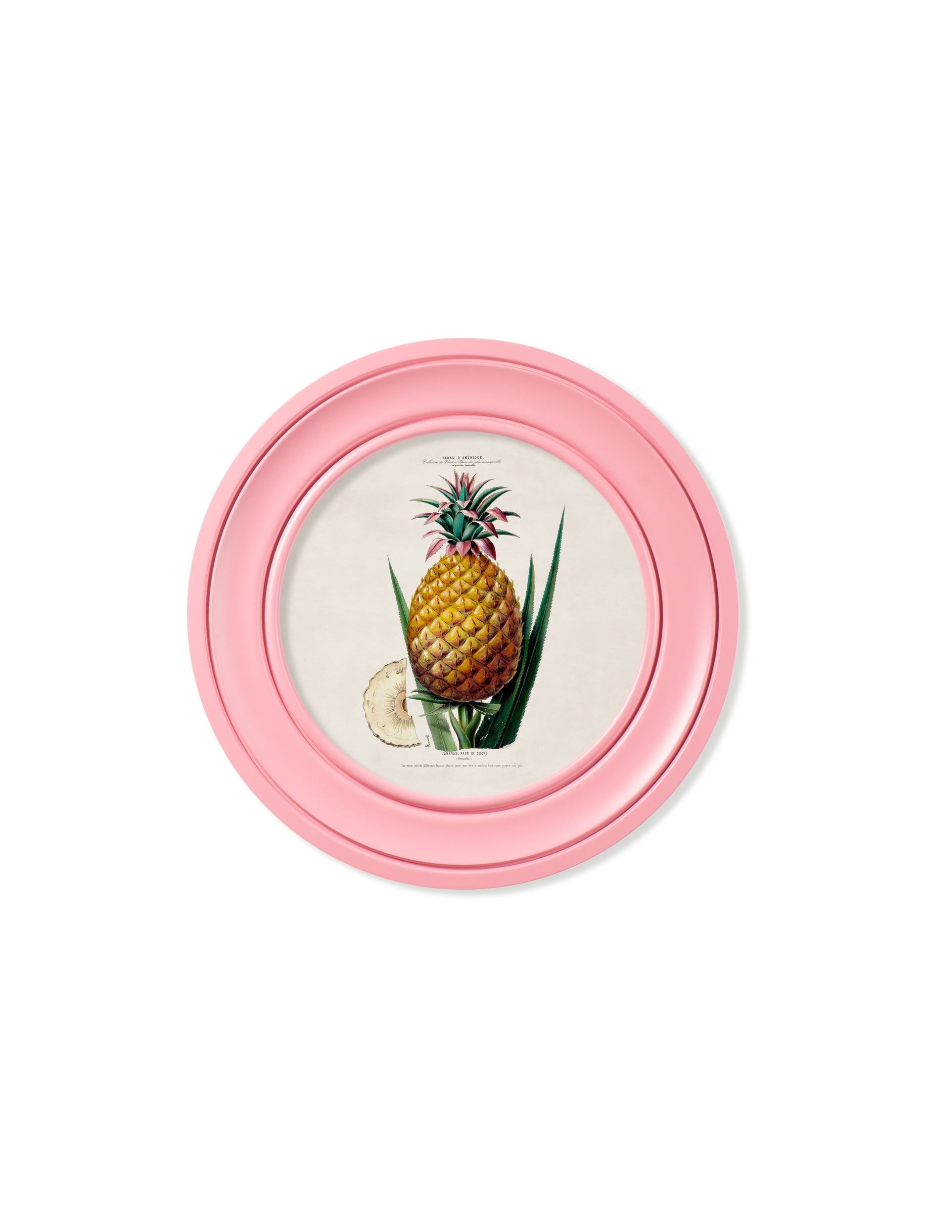 c 1843 pineapple plant round frame pink in size 70 x 70cm - glass-fronted framed wall art print with solid wood frame, designed for high-end interior design