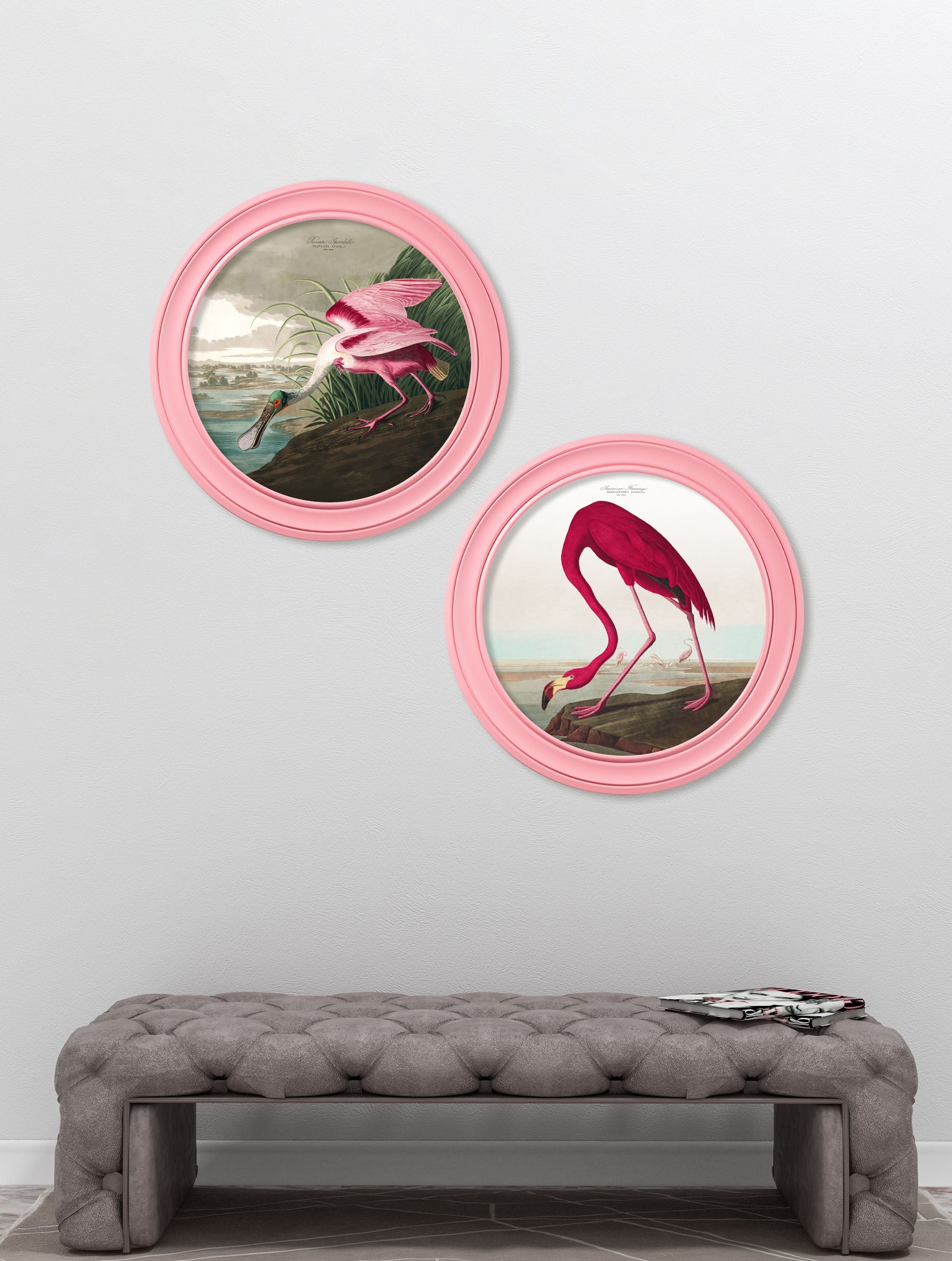 c 1838 audubons spoonbill in pink frame in size 70 x 70cm - glass-fronted framed wall art print with solid wood frame, adds elegance to your decor