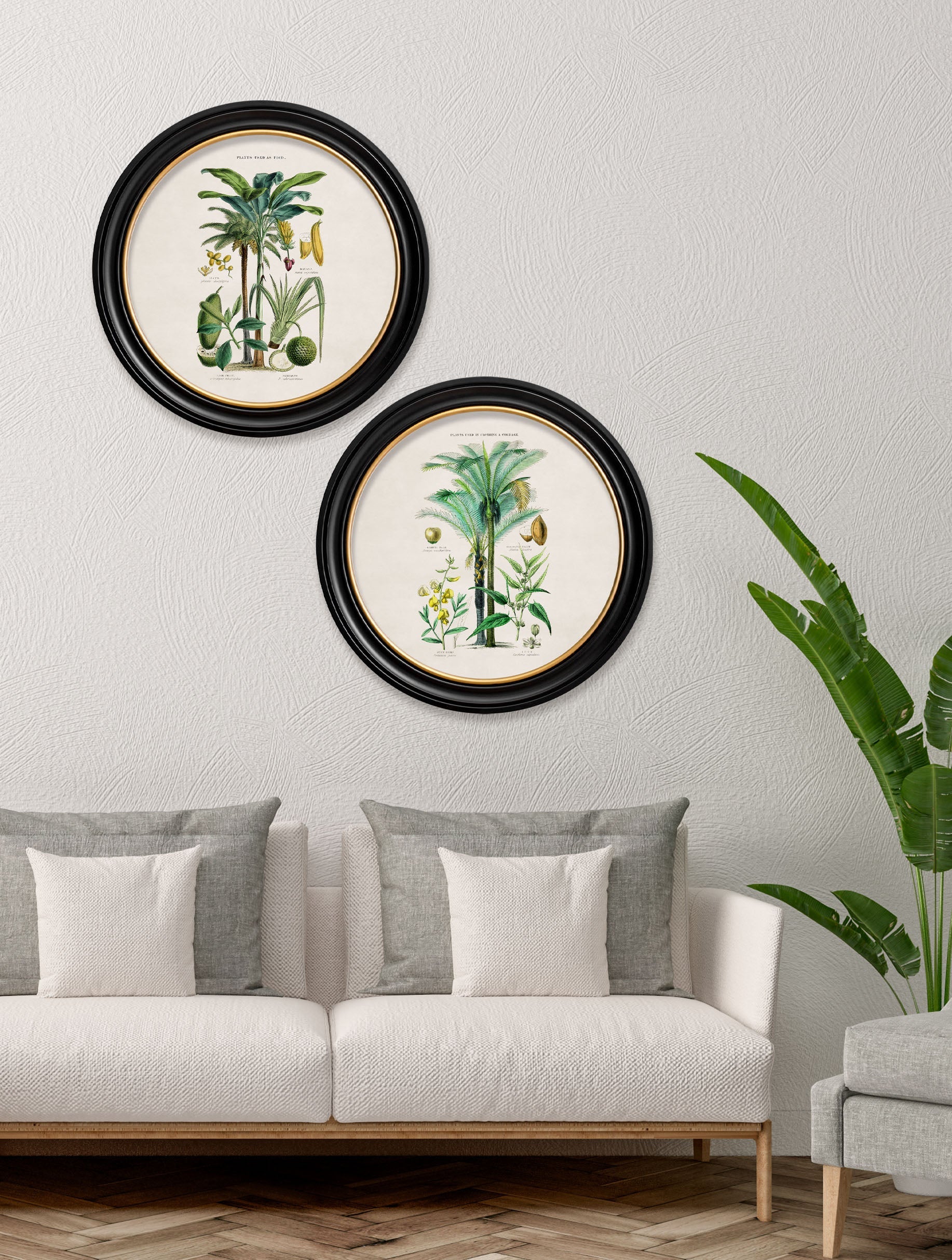 c 1877 tropical plants used as food and clothing round frame 1 in size 44 x 44cm - glass-fronted framed wall art print with solid wood frame, adds elegance to your decor