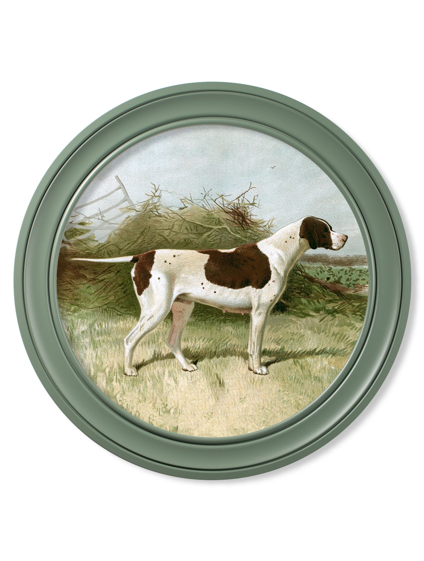 c 1881 gun dogs round frame green in size 70 x 70cm - glass-fronted framed wall art print with solid wood frame, a beautiful addition to stylish homes