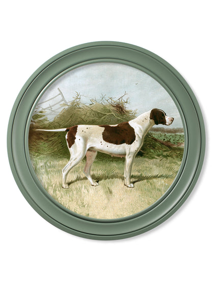 c 1881 gun dogs round frame green in size 70 x 70cm - glass-fronted framed wall art print with solid wood frame, a beautiful addition to stylish homes