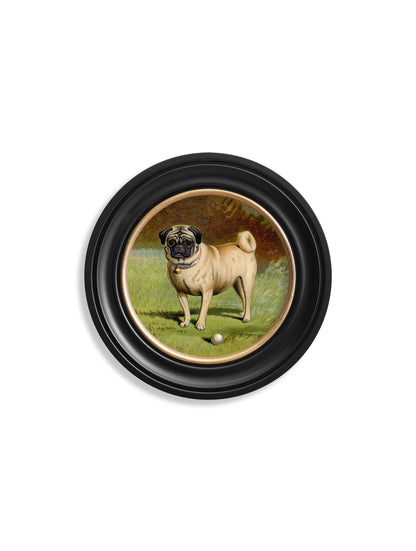 c 1881 dogs round frame in size 70 x 70cm - glass-fronted framed wall art print with solid wood frame, ideal for modern interiors