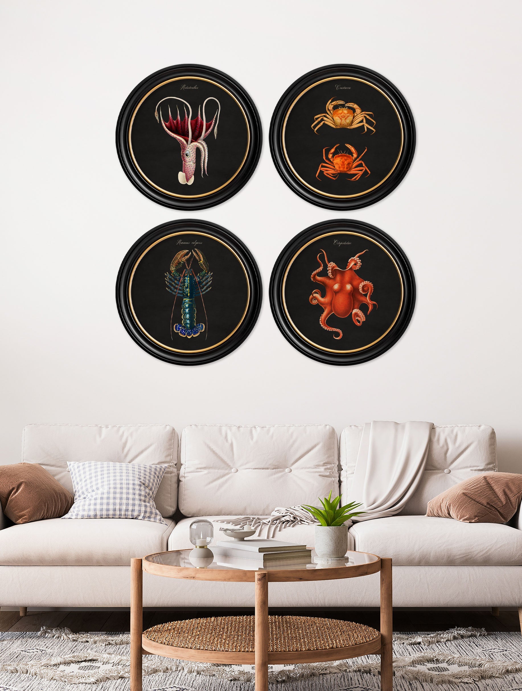 c 1876 marine animals in round frames black in size 44 x 44cm - glass-fronted framed wall art print with solid wood frame, adds elegance to your decor