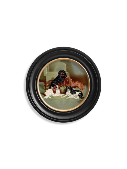 c 1881 dogs round frame in size 44 x 44cm - glass-fronted framed wall art print with solid wood frame, adds elegance to your decor