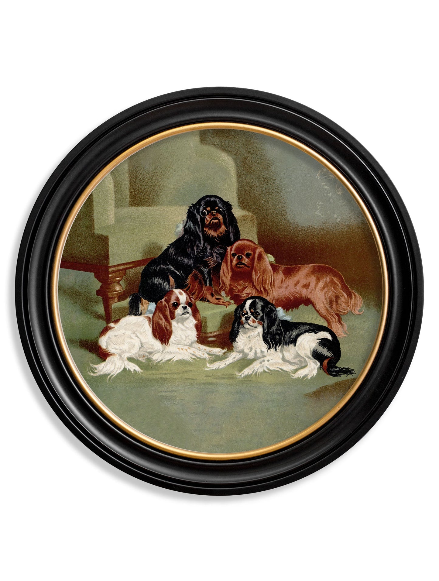 c 1881 dogs round frame in size 44 x 44cm - glass-fronted framed wall art print with solid wood frame, ideal for contemporary home styling