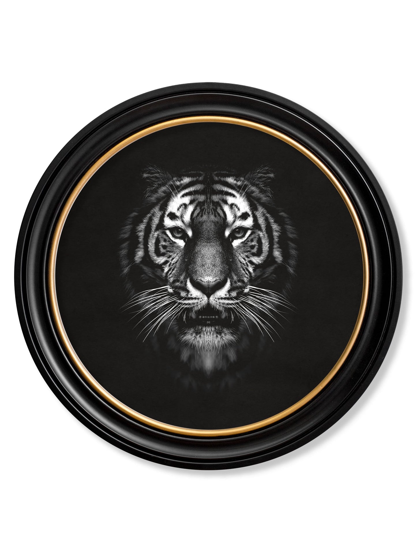 Wildlife Photography - Tiger - Round Frame in size 70 x 70cm - glass-fronted framed wall art print with solid wood frame, perfect for statement wall decor