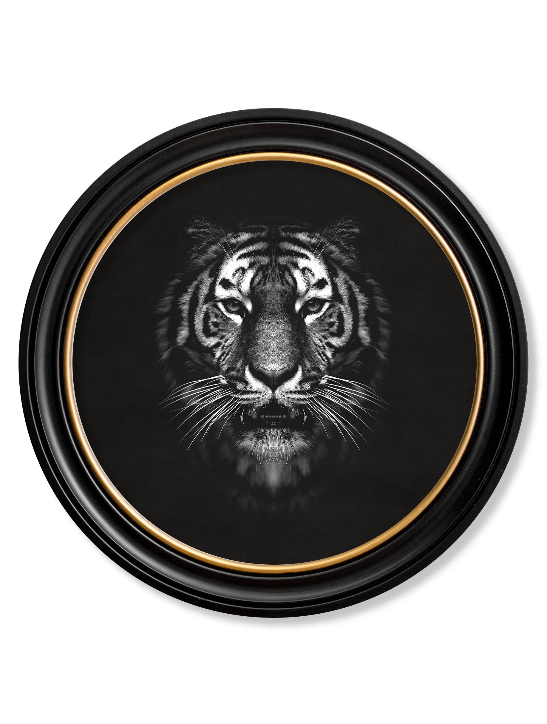 Wildlife Photography - Tiger - Round Frame in size 70 x 70cm - glass-fronted framed wall art print with solid wood frame, perfect for statement wall decor
