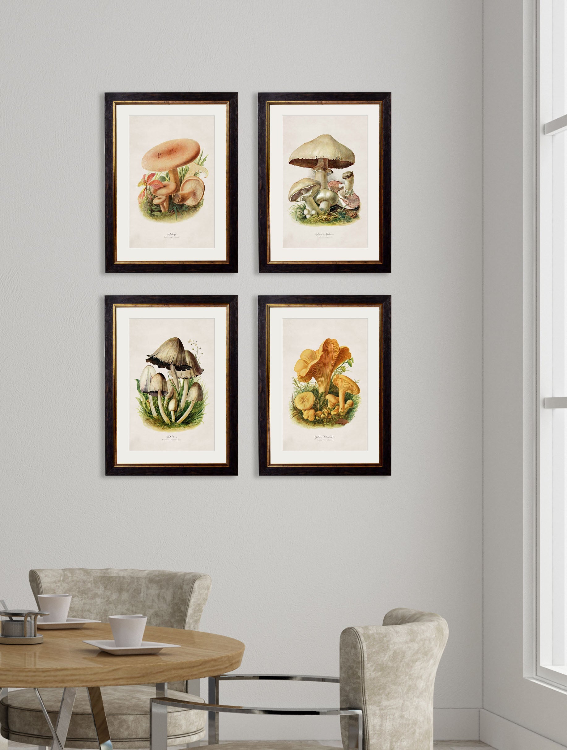 c 1913 edible mushrooms in size 38 x 50cm - glass-fronted framed wall art print with solid wood frame, a beautiful addition to stylish homes