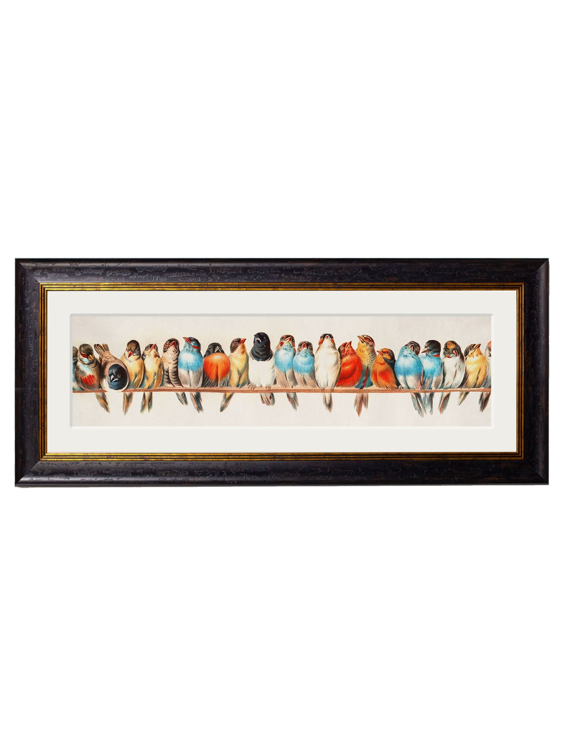 Birds on a Wire Panorama by Hector Giacomelli in size 38 x 95cm - glass-fronted framed wall art print with solid wood frame, a beautiful addition to stylish homes