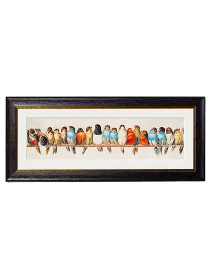 Birds on a Wire Panorama by Hector Giacomelli in size 38 x 95cm - glass-fronted framed wall art print with solid wood frame, a beautiful addition to stylish homes