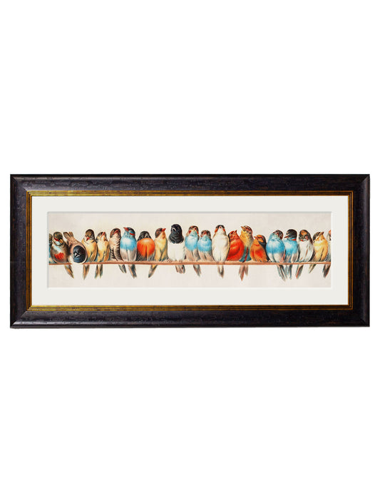 Birds on a Wire Panorama by Hector Giacomelli in size 38 x 95cm - glass-fronted framed wall art print with solid wood frame, a beautiful addition to stylish homes