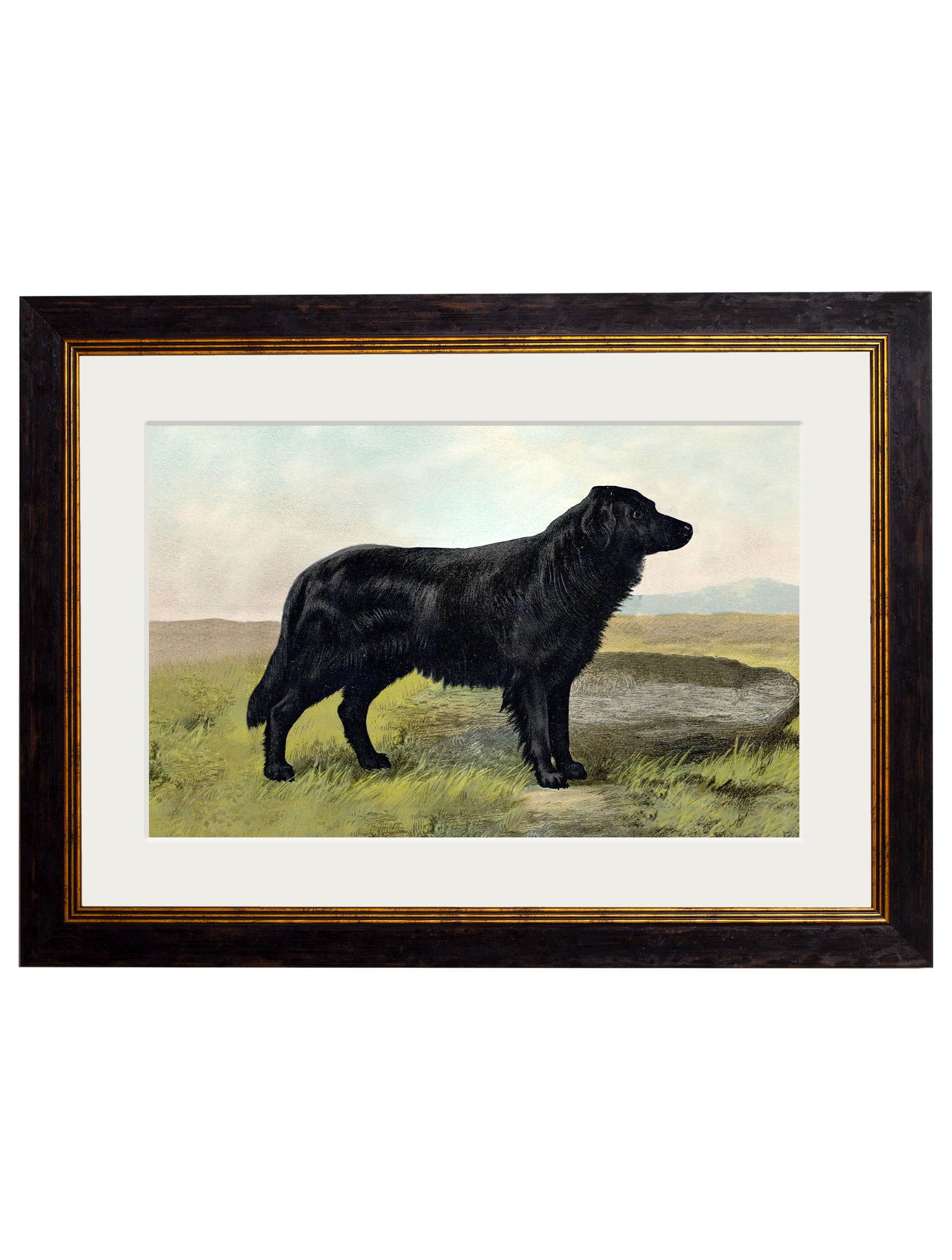 c 1881 working dogs in size 38 x 50cm - glass-fronted framed wall art print with solid wood frame, luxury wall art for sophisticated spaces